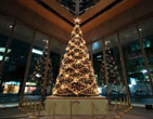 Christmas Wallpapers 100